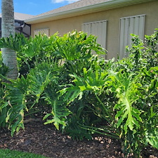Accordion Shutters 4
